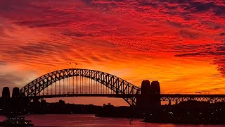 Sights and sounds from the most amazing city in the world This is Sydney Harbour Australia LIVE Cam [upl. by Lalage425]