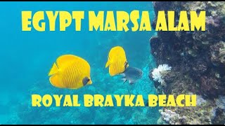 Egypt Marsa Alam  Royal Brayka 2023 [upl. by Ramal]