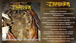 Infester  Forensic Fondling of Decomposed Guts FULL 2023 Pathological Goregrind [upl. by Thia]