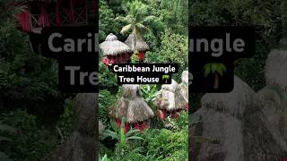 BEAUTIFUL Caribbean Jungle Tree House EcoResort DominicanTreeHouseVillage treehouse hotel [upl. by Aehs]