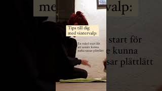 VALPTIPS I VINTER dogtraining puppy [upl. by Folberth867]