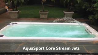 Hydropool Aquasport 14 Inground Spa Installation [upl. by Tebor584]