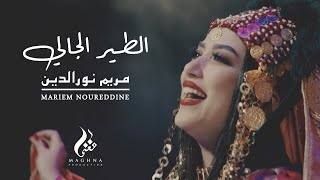 Mariem Noureddine ★ TIR EL JELI  الطير الجالي quotهاي لاليquot★ مريم نور الدين [upl. by Artemahs180]