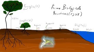 Le Forme Biologiche strategia di sopravvivenza nelle piante [upl. by Hawley]