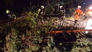 Sturmtief Fabienne richtet Schäden in Südbaden an [upl. by Tinaret834]