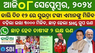 Todays morning news odisha 8 october 2024subhadra yojana online apply processaawas plus [upl. by Julius]