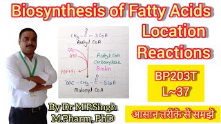 Biosynthesis of Fatty Acids  Location  Reactions  Biochemistry  BP203R  L37 [upl. by Tayib]