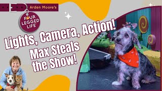 Meet Actor Dog Max aka Toto [upl. by Nich233]