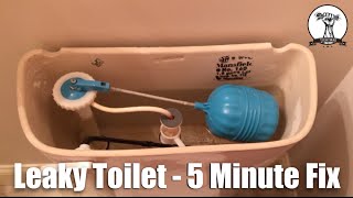 Easy and Quick Leaky Toilet or Hard to Flush  5 Minute Fix only 3 [upl. by Roderick509]