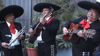 Las Mananitas by Mariachi Malibuwmv [upl. by Nedi]