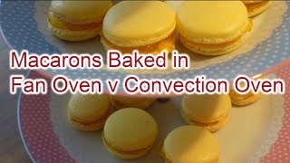 Macarons Baked in Fan Oven Verses Convection Oven NonFan [upl. by Ysor]