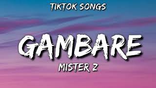 Gambare  Mister z TikTok Songs audio [upl. by Ecinhoj319]