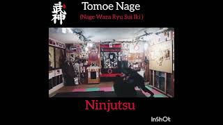 Ninjutsu Tomoe Nage Nage Waza Ryu Sui Ikininjutsu ninja bujinkanbudo defensapersonal [upl. by Dnamra656]