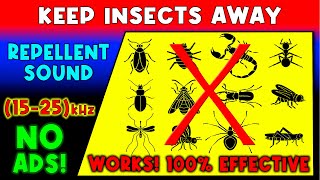 ANTI INSECTS REPELLENT SOUND ⛔🦟 KEEP INSECTS AWAY  ULTRASONIC SOUND [upl. by Lorelei]