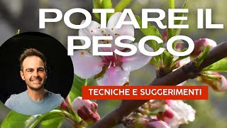 Potatura del Pesco Tecniche e Segreti per la potatura di Pesco Nettarine Percoche e Saturnina [upl. by Sudnac]