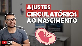 CIRCULAÇÃO FETAL E NEONATAL Cardio 15 [upl. by Maighdlin]