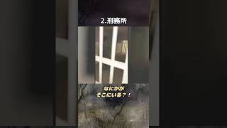 海外ホラー映像【海外のヤバすぎるカメラが映したホラー映像 3選】怖い話 心霊 shorts [upl. by Jed]