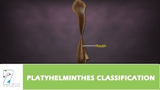 PLATYHELMINTHES CLASSIFICATION [upl. by Olga]