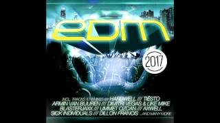 EDM 2017 MiniMix [upl. by Tnahsin]