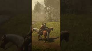 There was a fly rdr2 reddeadredemption2 gaming gamingchannel [upl. by Melvena]