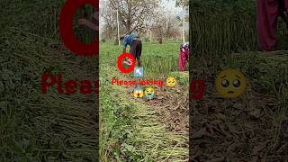 Snake 🪱🪱😱😭 snake snacks snack snowfall denjurek funny song kidneyscan funny কীর্তন2023 [upl. by Unam]