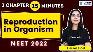 Phoenix 20 Biology Most Important Video for NEET 2025  Unacademy NEET Toppers  Udaan [upl. by Aneeles]