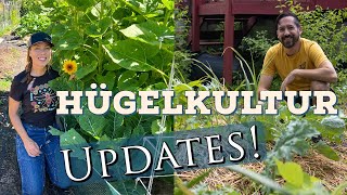 Hugelkultur Update With Greg from Some Room to Grow [upl. by Langdon]