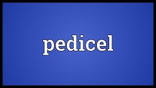 Pedicel Meaning [upl. by Anirret733]