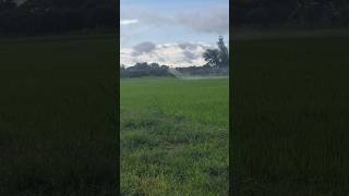 Insecticide spraying DJI T40 drone djidrone agriculture djit40 agriculturedrone sorts [upl. by Scharff]