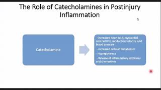Systemic Response to Injury and Metabolic Support [upl. by Nisotawulo]