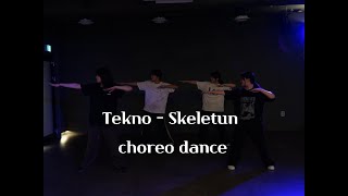 won k T Tekno  Skeletun choreo dance [upl. by Liek]