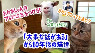 「大事な話がある」から10年後…アレが思い出せない猫達🙀 [upl. by Bricker]