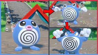 How to Evolve Poliwag into Poliwhirl then Poliwrath in Pokemon Scarlet amp Violet DLC [upl. by Rehposirhc]