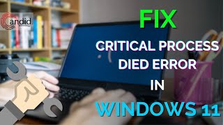 Fix Critical process died in Windows 11  CandidTechnology [upl. by Anairad]