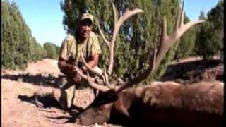 Huge Arizona Bull Elk  M2D Camo amp Legendary Outfitters [upl. by Renba]