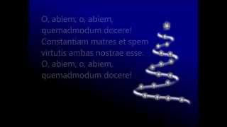 O abiem  Oh Christmas Tree Sung in Latin [upl. by Naitsirhk561]