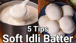 How to Make Soft Idli with 5 Basic Tips  Spongy Idli Batter with Wet Grinder  No Soda No Yeast [upl. by Oyr813]