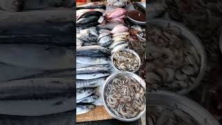 Fish market vadodara gujarat 2024 fish food fish [upl. by Emlen]