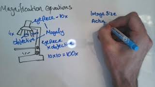 Magnification Equations GCSE [upl. by Peddada]