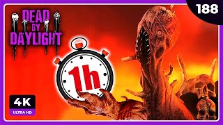 1h CON LA DRAGA  DEAD BY DAYLIGHT Gameplay Español [upl. by Nolana]