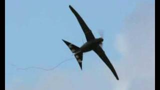 Morphing aircraft mimics a birds wing [upl. by Eetsim]