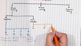 Sympathomimetics Katzung Ch 9 Pharmacology Complete explanation [upl. by Ettenauq]