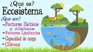 🌎Ecosistema  Factores Bióticos y Abióticos 🌿  Fácil y Rápido  BIOLOGÍA [upl. by Airtina]