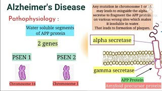 Alzheimers Disease Pathophysiology and complete explanation in Hindi [upl. by Persson]