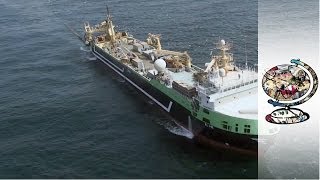 How Australia Impounded the Worlds SecondLargest Fishing Trawler [upl. by Nede212]