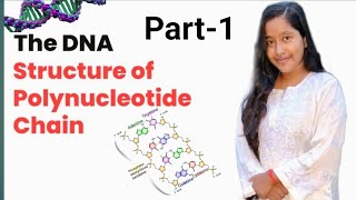 Structure of polynucleotide chain Class 12 [upl. by Swagerty769]