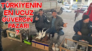 Güvercin Pazarı 2024 Yeni Yıl Fiyatlar Son Durum [upl. by Adiaz421]