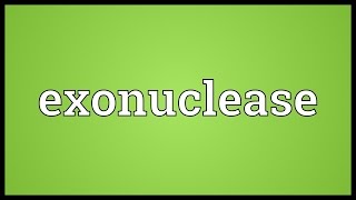 Exonuclease Meaning [upl. by Burdelle]