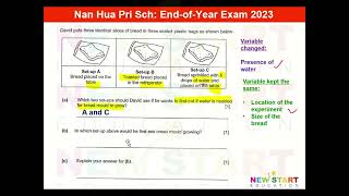 DAY20 P3 OEQ 2 Fungi Nan Hua Pri Sch 2023 Singapore Primary 3 MOE Science [upl. by Coyle323]