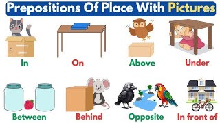 Use of prepositions  Below under Under Beneath Correct 💯 use [upl. by Ahsinelg]